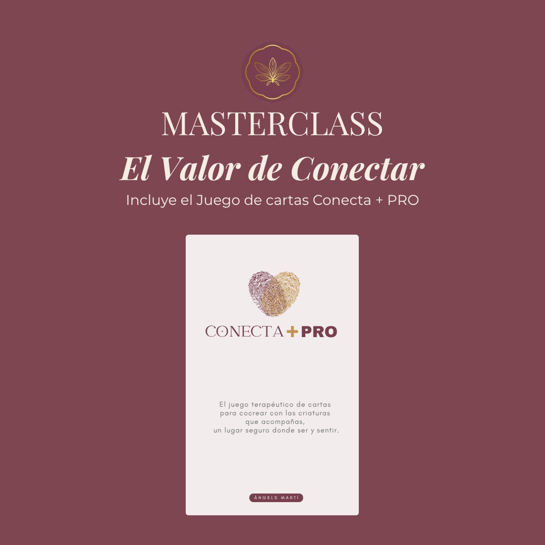 Taller El Valor de Conectar